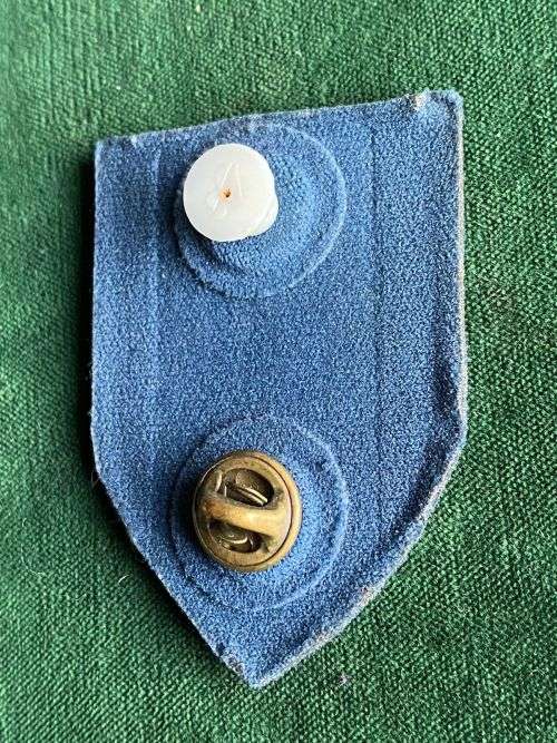 POLICE TASK FORCE UNIT-ONE BREAST BADGE- 2 PINS