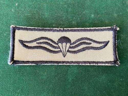 SANDF BASIC PARA WING