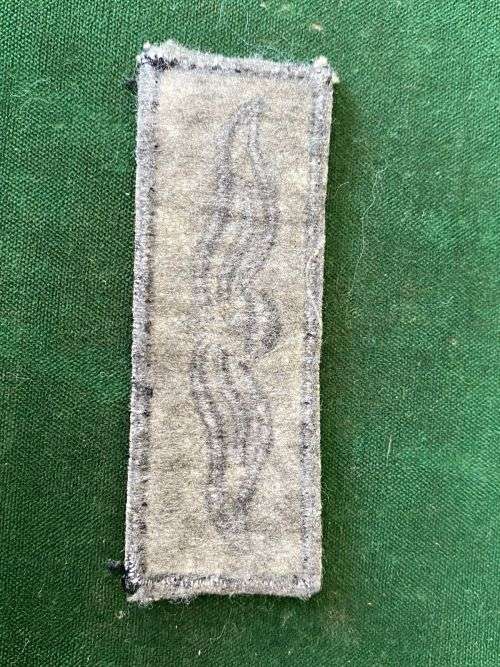 SANDF BASIC PARA WING