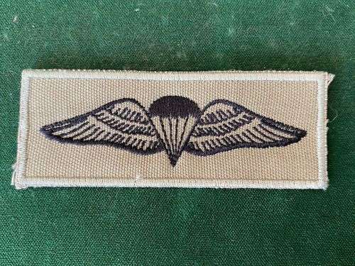 SANDF BASIC PARA WING