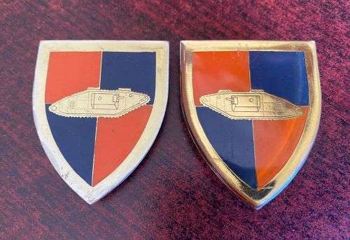 SCHOOL OF ARMOUR FLASH PAIR-PINS INTACT