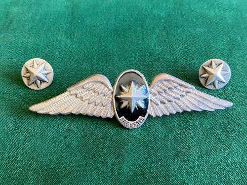 RECCE/SPECIAL FORCES FORMER LEAGUE MEMBERSHIP WINGS AND PINS-SILVER-PINS INTACT