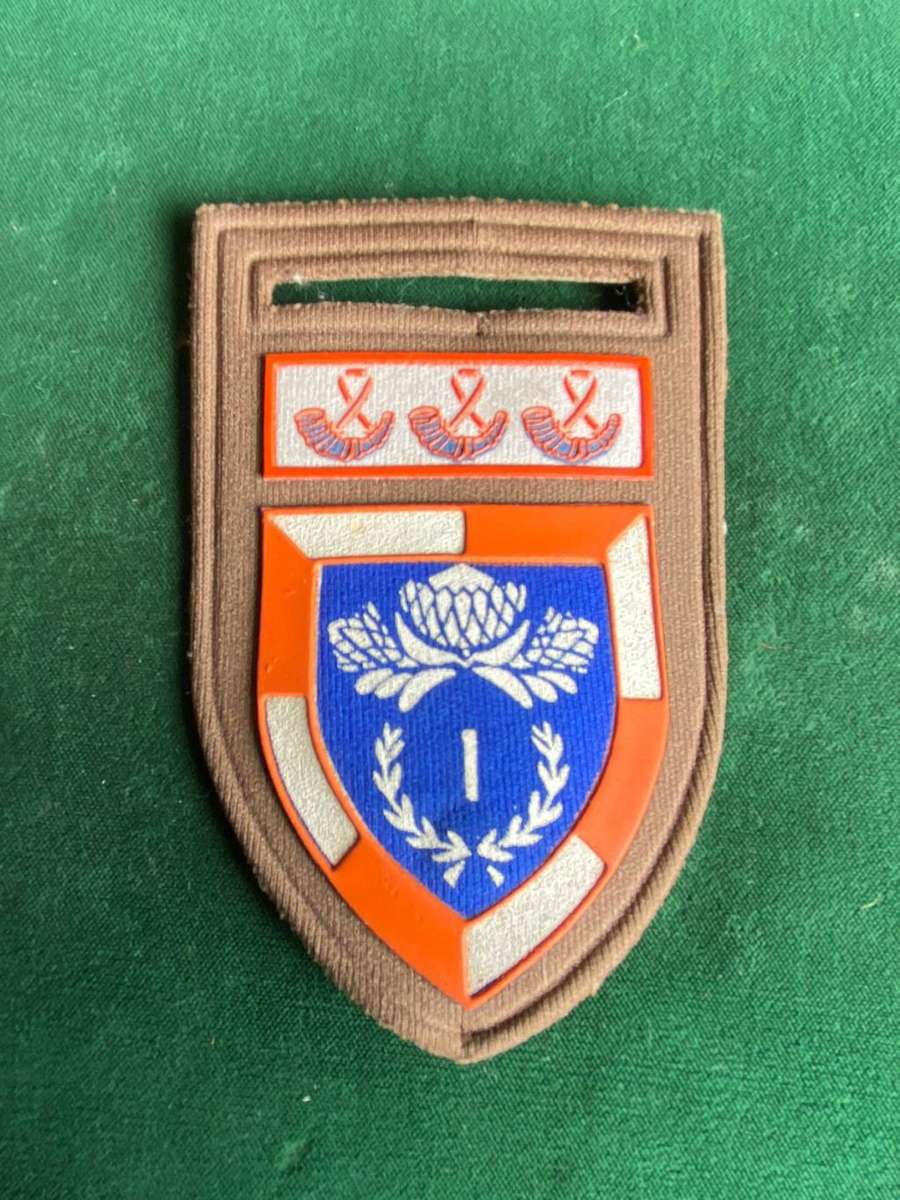 1 SPECIAL SERVICES BATTALION WITH OFS COMMAND BAR-TUPPER FLASH- NO PIN