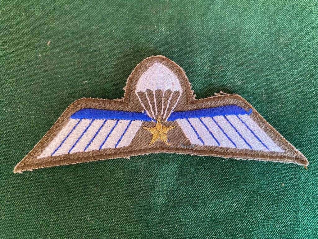 NETHERLANDS A WING PARA WING