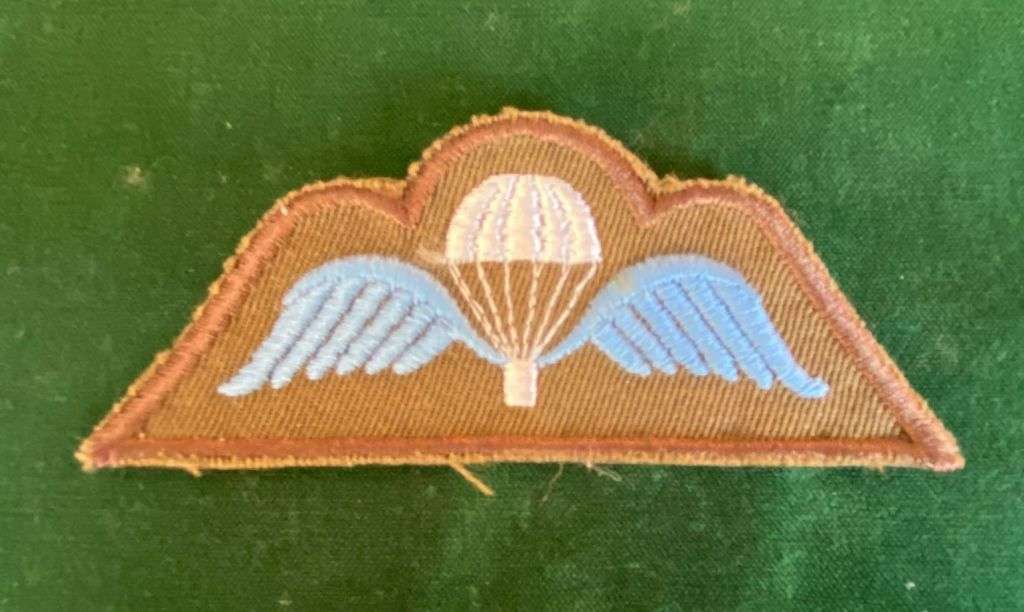 ARMY PARA WINGS-VARIATION ON BREVET A