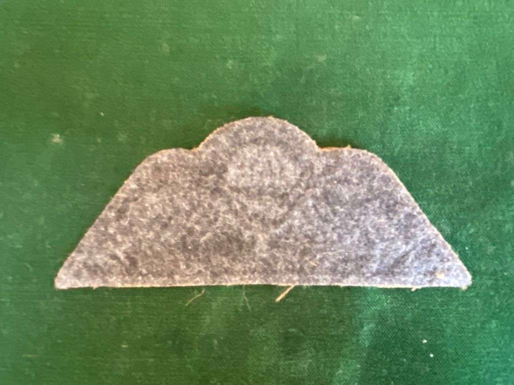 ARMY PARA WINGS-VARIATION ON BREVET A