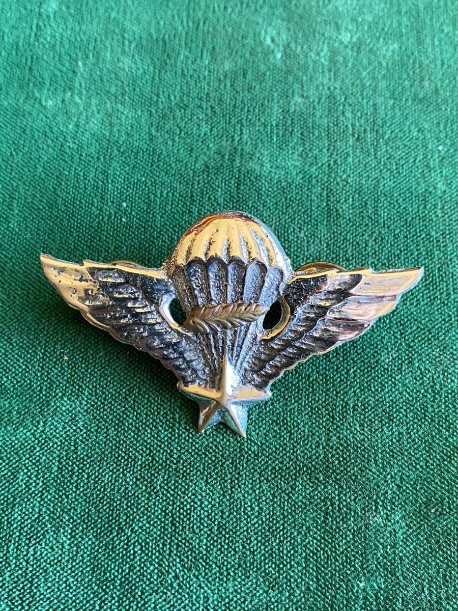 REPUBLIC OF VIETNAM SPECIAL FORCES-MASTER PARA WING- 2 PINS- PRE 1980