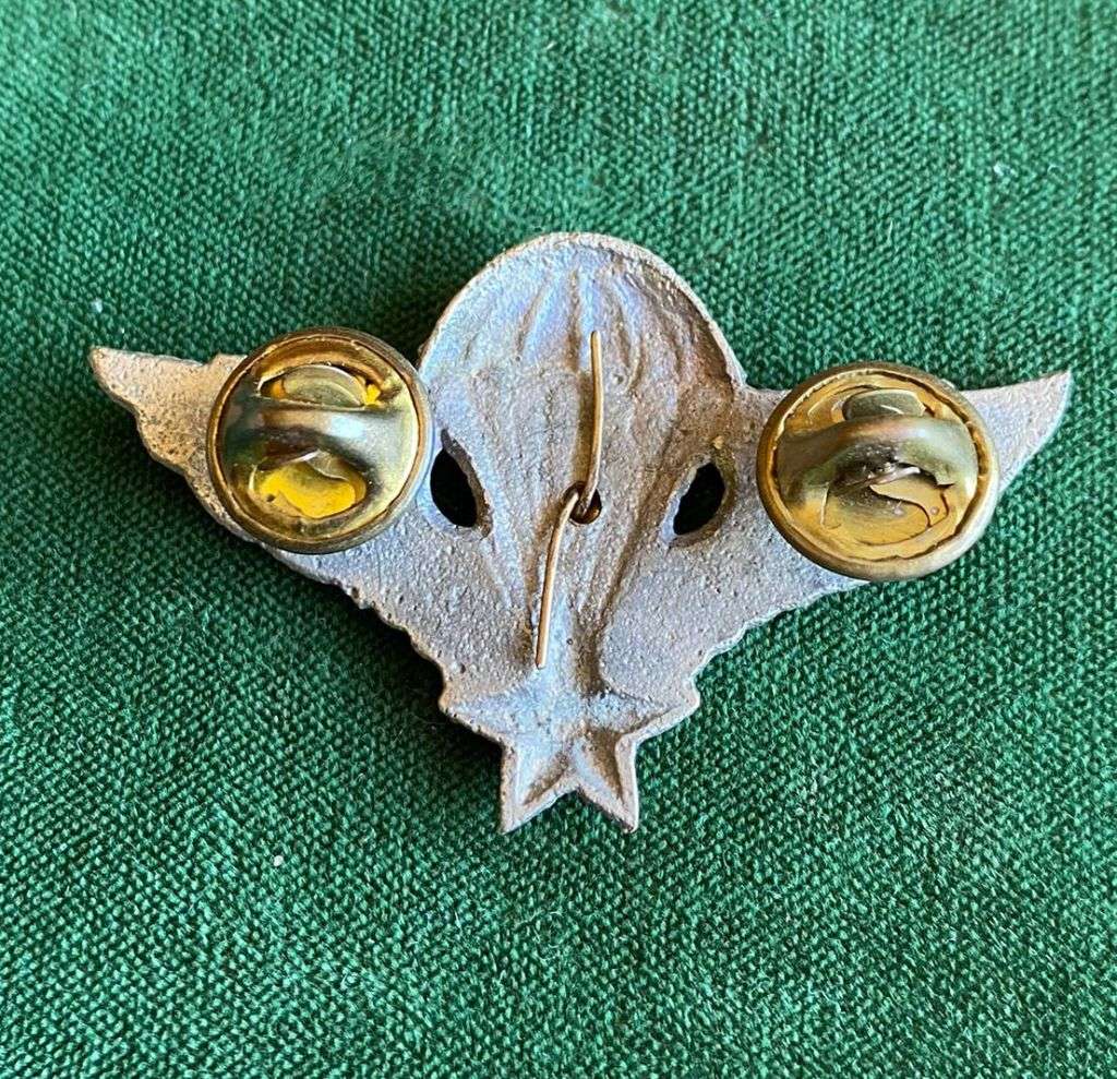 REPUBLIC OF VIETNAM SPECIAL FORCES-MASTER PARA WING- 2 PINS- PRE 1980