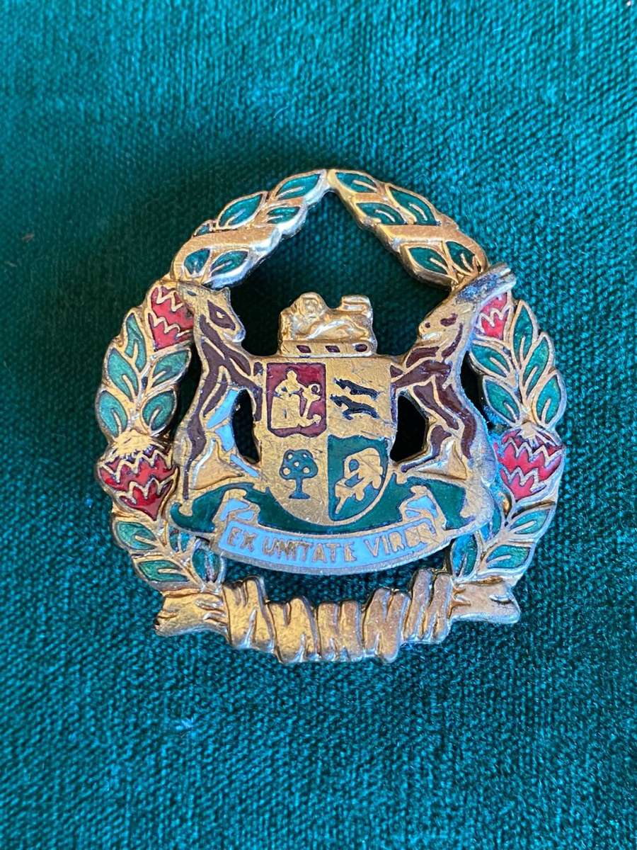 SA PRISONS SERVICE W.O. ARM BADGE ENAMEL AND GILT- 2 PINS