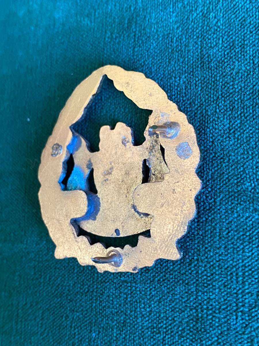 SA PRISONS SERVICE W.O. ARM BADGE ENAMEL AND GILT- 2 PINS