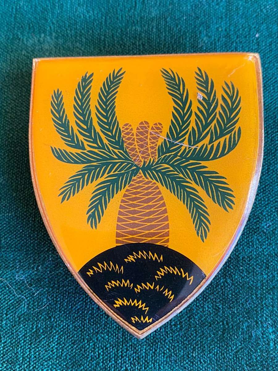 4 SA INFANTRY FLASH- 3 PINS