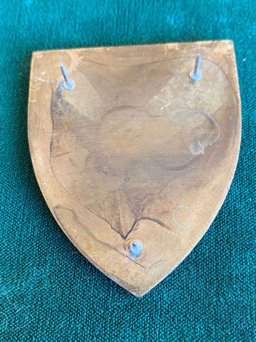 4 SA INFANTRY FLASH- 3 PINS