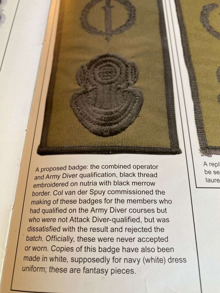 Recce Proposed Badge