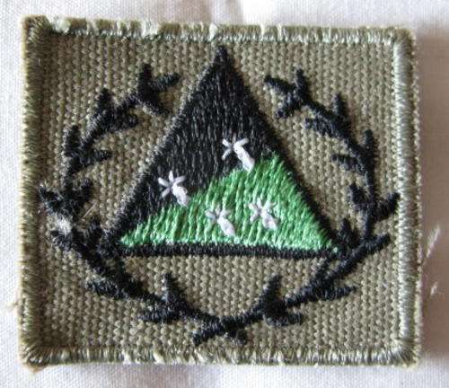 SA RECCE/SPECIAL FORCES BADGE