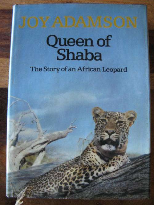 QUEEN OF SHABA BY JOY ADAMSON - THE STORY OF AN AFRICAN LEOPARD