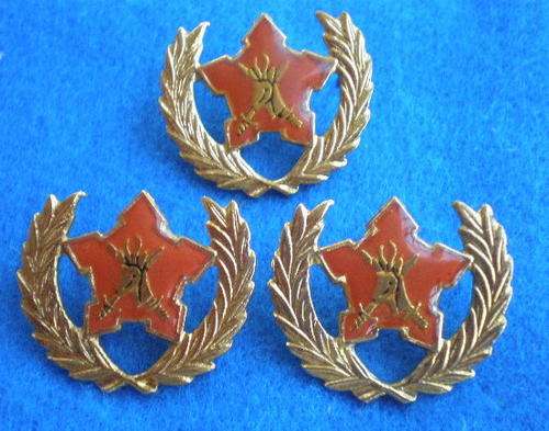 SA ARMY 5 YEAR VOLUNTEER BREAST BADGE-PINS INTACT