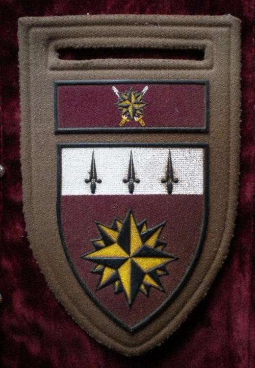 1 SPECIAL FORCES REGIMENT RUBBERISED SHOULDER FLASH WITH SPECIAL FORCES BRIGADE HIGHER FORMATION BAR