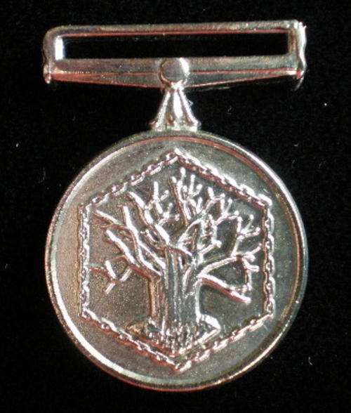 MINIATURE APLA/MK OPERATIONAL MEDAL FOR SOUTHERN AFRICA-SOLD WITHOUT RIBBON