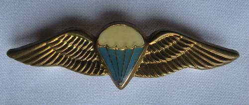 SA BASIC PARACHUTE WING-8 JUMPS OR MORE-2 PINS