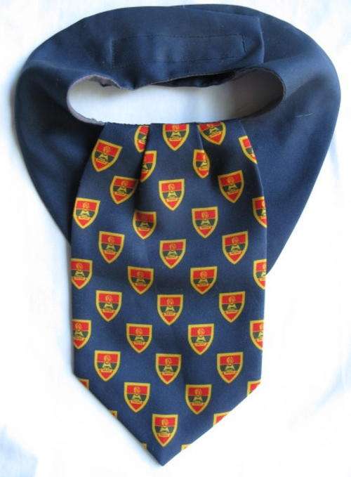 2 FIELD ENGINEER REGIMENT CRAVAT