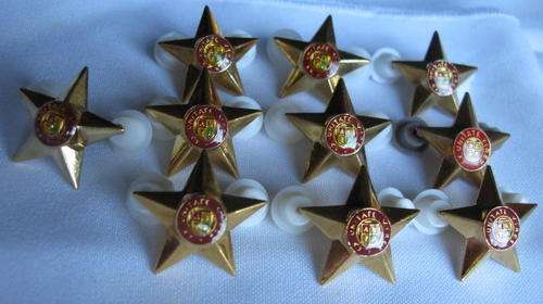 OFFICERS 5 POINT STAR IN GILT-NORMAL SIZE-SELLING 10 TOGETHER-ALL PINS INTACT