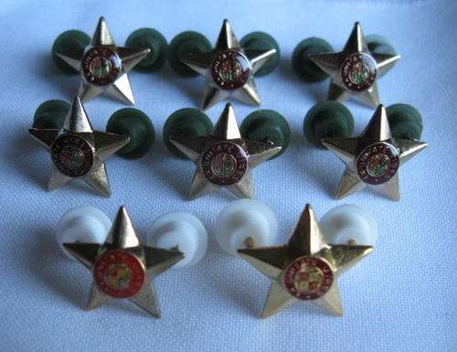 OFFICERS 5 POINT STAR IN GILT SMALL SIZE-SELLING 8 TOGETHER-ALL PINS INTACT