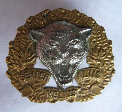 6 SA INFANTRY TRAINING UNIT BI-METAL CAP BADGE WITH VOIDED CENTRE-APPROVED 1986-2X SCREW LUGS