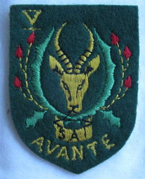 5 SA INFANTRY LEFT HAND CLOTH FLASH