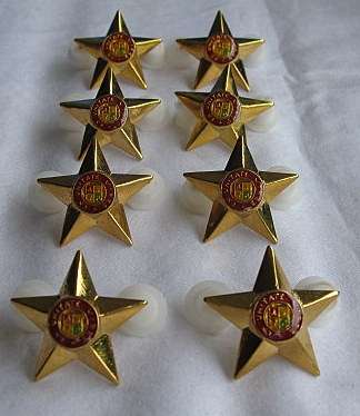 SA ARMY OFFICERS GILDING METAL 5 POINT STAR WORN 1960'S - 1970'S PINS INTACT - 8 IN TOTAL