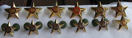 SA ARMY GILDING METAL OFFICERS  RANK BADGES 12 IN TOTAL WORN 1960'S - 1970'S