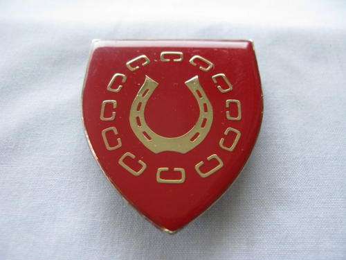 SHOULDER FLASH - HERCULES COMMANDO - 3 PINS - ORIGINAL