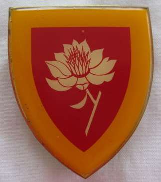 SHOULDER FLASH - SA ARMY WOMANS COLLEGE YELLOW TYPE - 1ST ISSUE - 3 PINS - ORIGINAL