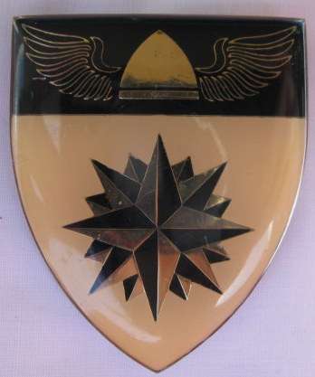 SHOULDER FLASH - FAKE 4 RECCE COMMANDO WITH HOLLOW WINGS AND SOLID HELMET - 3 PINS