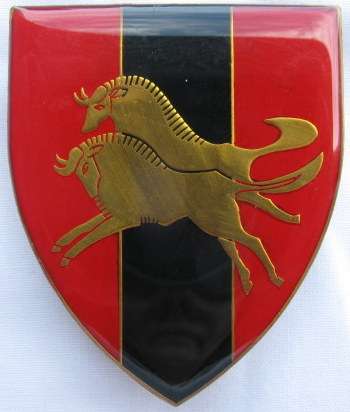 SHOULDER FLASH - NATAL COMMAND PROVOST UNIT - 3 PINS - ORIGINAL