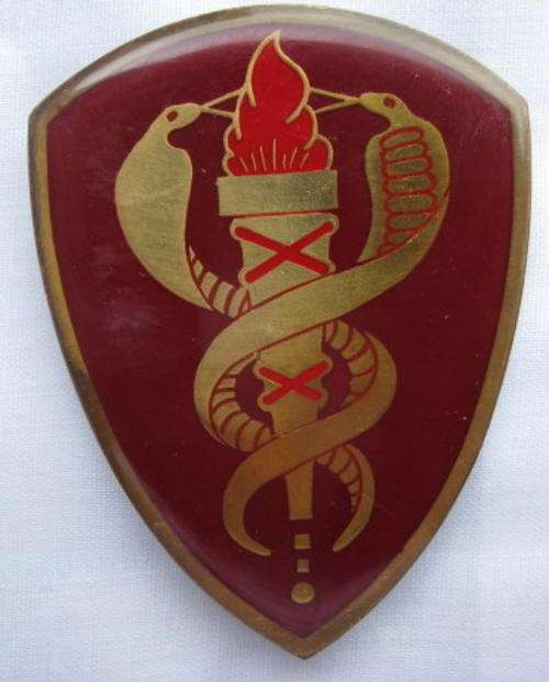 SHOULDER FLASH - MEDICAL TRAINING CENTRE - 3 PINS - ORIGINAL