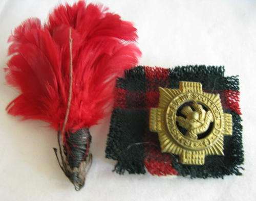 TRANSVAAL SCOTTISH HACKLE AND CAP BADGE