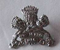 SA ARMOURED CORPS CHROMED CAP BADGE WORN 1976 - 1996 - 2 LUGS