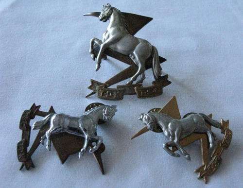 TECHNICAL SERVICE CORPS BI-METAL CAP & COLLARS WORN POST 1960 - LUGS & PINS INTACT