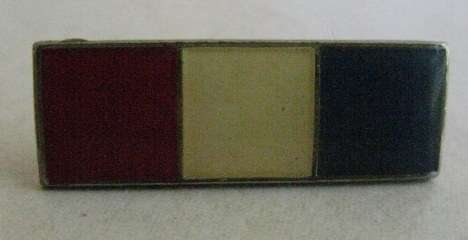 ARMY ORDNANCE SERVICES BERET BAR - PINS INTACT