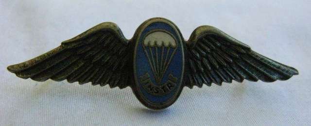 FREE FALL PARATROOPER INSTRUCTOR MESS DRESS WING - DARK WING VARIATION - 2 PINS