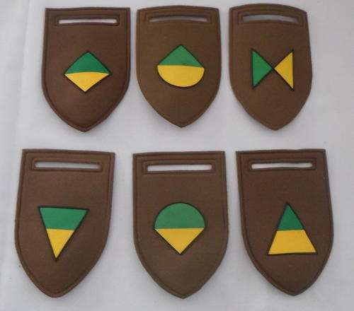 SA INFANTRY TACTICLE TUPPERS FOR: ECHO/HQ / DELTA / GOLF / ALPHA COMPANY - PINS INTACT