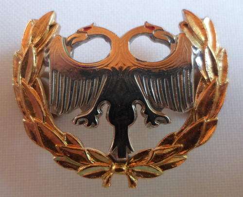 SAAF PROTECTION BI METAL BREAST BADGE-APPROVED IN 1996-2 PINS