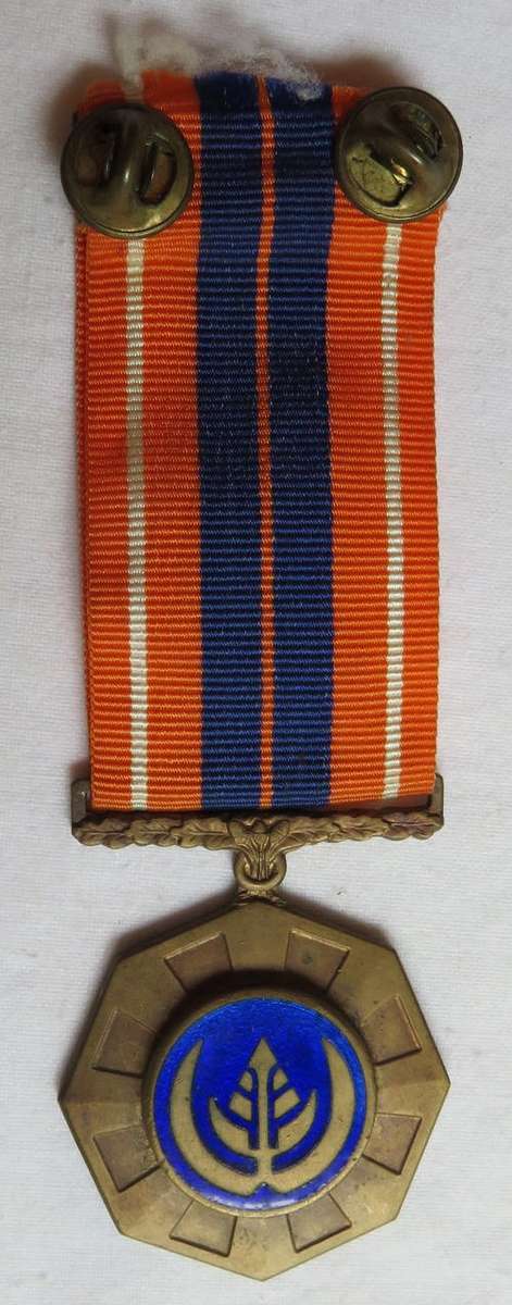 FULL SIZE PRO PATRIA MEDAL 3RD TYPE ,SINGLE STRIKING WITH MATT FINISH