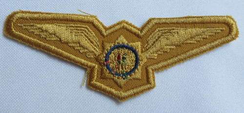 SA POLICE PILOTS WING