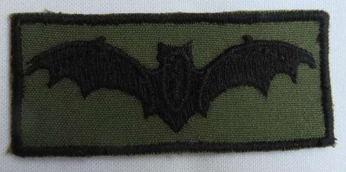 LATER TYPE OF JUNIOR RECCE WINGS WORN ON NUTRIA BY ARMY PERSONNEL -ORIGINAL