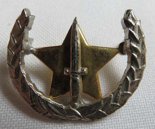 SAAF MILITARY POLICE AGENCY BI-METAL,MESS DRESS BADGE- 2 PINS