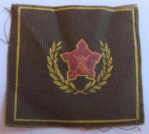 ARMY BADGE FOR CITIZEN FORCE COMMANDO'S & VOLUNTEERS FOR 5 YEARS SERVICE PRINTED VARIATION