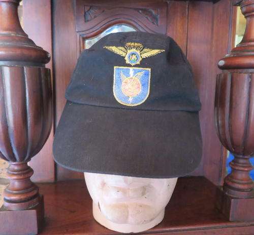 GUARANTEED ORIGINAL BASEBALL CAP FROM A FORMER SAP TASK FORCE MEMBER-USED BUT VERY GOOD CONDITION-SI