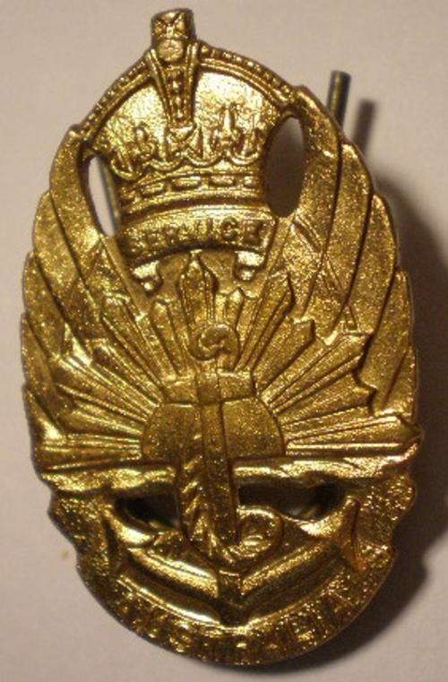 NO. 1294)  AUSTRALIAN SERVICE BADGE FOR DEF. FORCE SERVICE WW2.