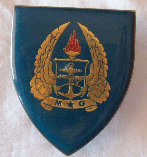 A 1694 - ARMY GIMNASIUM SHOUOLDER FLASH - 3 PINS